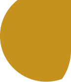 Vector 2